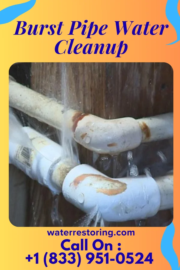 Burst Pipe Water Cleanup in Amesville, OH