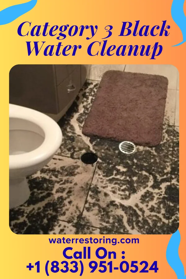 Category 3 Black Water Cleanup in Amesville, OH