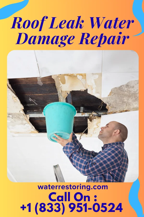 Roof Leak Water Damage Repair in Amesville, OH