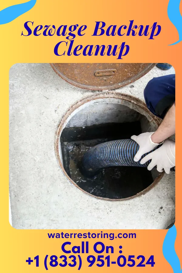 Sewage Backup Cleanup in Amesville, OH